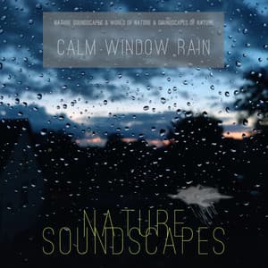 Calm Window Rain - Nature Soundscapes