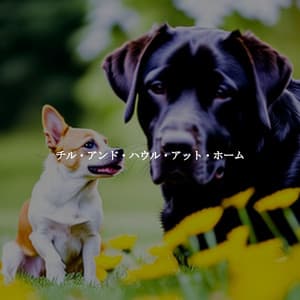 チル・アンド・ハウル・アット・ホーム - Easy Instrumental Jazz