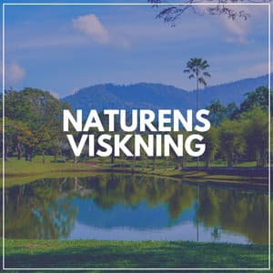 Naturens Viskning - Naturljud