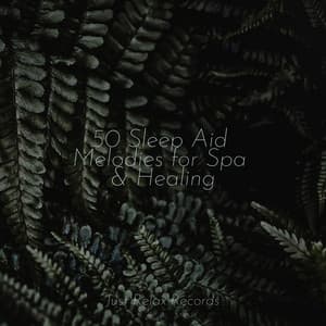 50 Sleep Aid Melodies for Spa & Healing - Nursery Rhymes Club