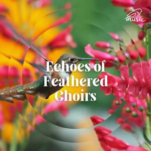 Echoes of Feathered Choirs - Kawahari