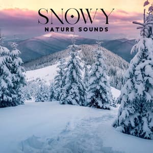 Snowy Nature Sounds: White Winter Noises for Relaxation, Baby Sleep, Stress Relief, Studying - Mothers Nature Music Academy