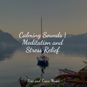 Calming Sounds | Meditation and Stress Relief - Soothing White Noise for Infant Sleeping and Massage
