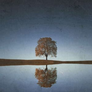 Calm Classical Reflections - Johann Sebastian Bach