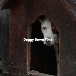 Doggy Down Time - Jazz for Dogs