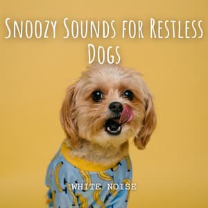White Noise: Snoozy Sounds for Restless Dogs - White Noise Atmospheres