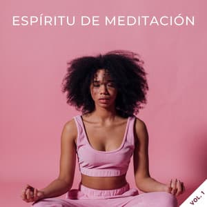 Espíritu De Meditación Vol. 1 - Meditaciones de nativos americanos