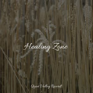 Healing Zone - Studying Music