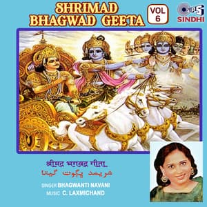 Shrimad Bhagwad Geeta Vol. 6 - Bhagwanti Navani