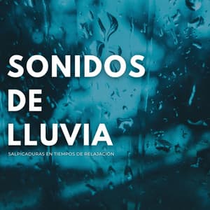 Sonidos De Lluvia: Salpicaduras En Tiempos De Relajación - Lluvia de Berlín