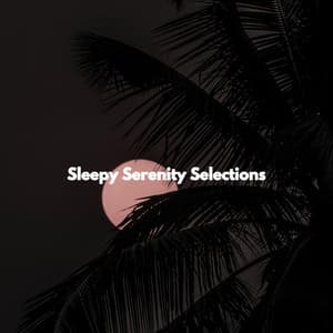 Sleepy Serenity Selections - Jazz Ambiental para Hoteles