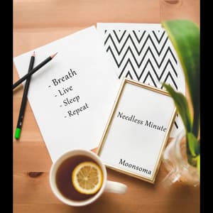 Needless Minute - Moonsoma