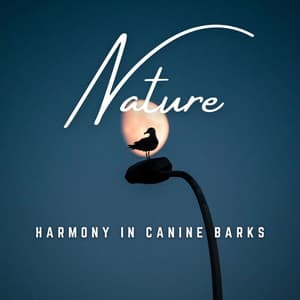 Bark in Harmony: Tranquil Serenades - Relaxing Music for Dogs