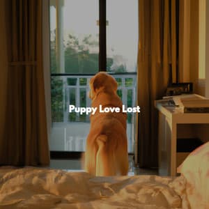 Puppy Love Lost - Música para Tiendas Minoristas Clasicos