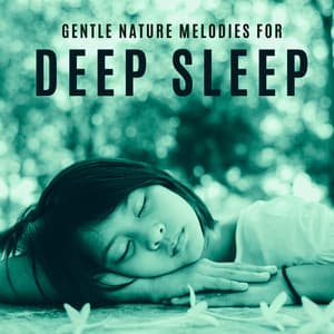 Gentle Nature Melodies for Deep Sleep – Piano, Harp and Flute Music - Sleep System