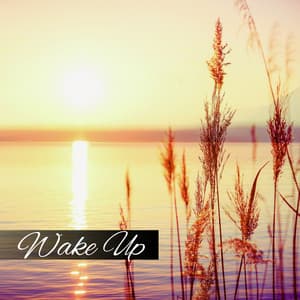 Wake Up - Early Morning, Calming Music, Relaxing New Age, Body Energy, Serenity Music, Nature Sounds - Pure Day Academy