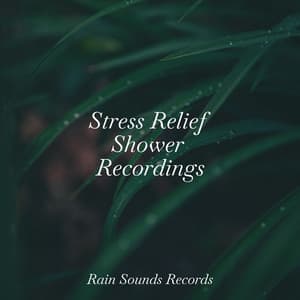 Stress Relief Shower Recordings - Lullabies for Deep Meditation