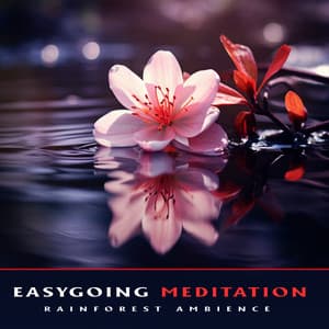 Easygoing Meditation - Rainforest Ambience