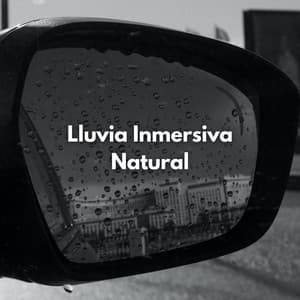 Lluvia Inmersiva Natural - Registradores de lluvia