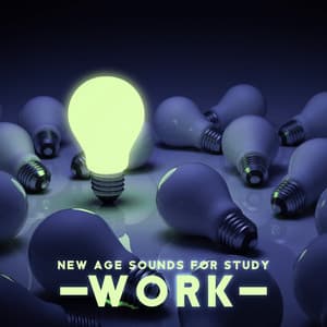 Learning without Being Distracted - New Age Sounds for Study, Work, Have a Good Concentration - Study Music 101