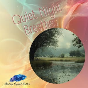 Quiet Night Breathes - Floating Crystal Feather