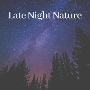 Late Night Nature - Organic Nature Sounds