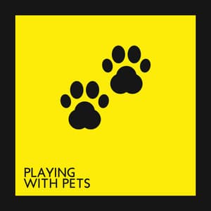 Playing with Pets - Time Together and Intensive Relax - Pet Love Academy