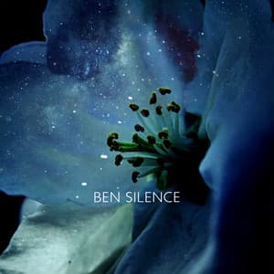 Dreamseed Transmission - Ben Silence