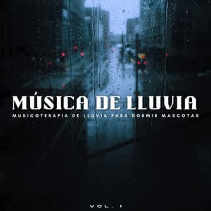 Música De Lluvia: Musicoterapia De Lluvia Para Dormir Mascotas Vol. 1 - Sonidos de lluvia para ayudar a dormir