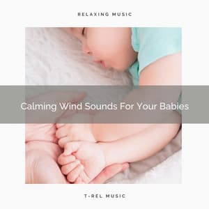 Calming Wind Sounds For Your Babies - The White Noise Zen & Meditation Sound Lab