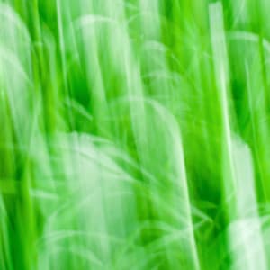 Astounding Smooth Jazz Chill Out - Ambiance for Bedroom Unwinding - Coffee Lounge Jazz Band Chill Out