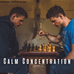 Calm Concentration: Chill Music Flow - The Sun Flower