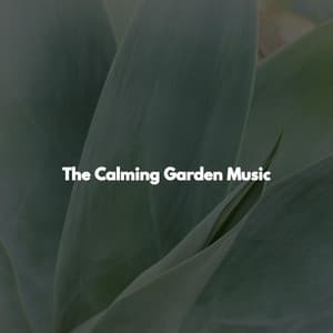 The Calming Garden Music - Sensual Jazz Instrumentals