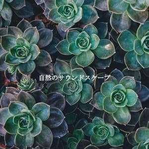 自然のサウンドスケープ - Jazz for Working