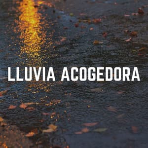 Lluvia Acogedora - Sonidos De Lluvia