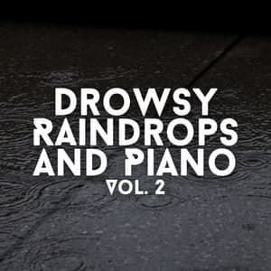 Drowsy Raindrops and Piano Vol. 2 - Spa Music Lounge