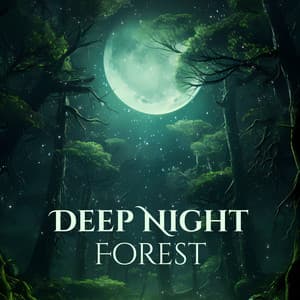 Night Forest: Relaxing Music and Nature Sounds Night Forest for Deep Peace & Tranquility in The Depths of an Untamed Wilderness - Ancient Asian Oasis