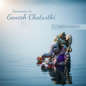 Immersion in Ganesh Chaturthi - Surya Ganesh
