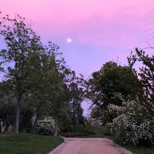 50 Pure Songs for Peaceful Sleep - Nursery Rhymes