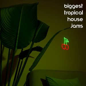 Biggest Tropical House Jams - Beautiful Sunset Beach Chillout Music Collection