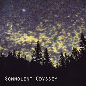 Somnolent Odyssey: Soft Music for Sleeping, Relaxation Sounds for Insomnia and Sleep Disorders - Odyssey for Relax Music Universe