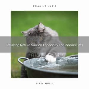 Relaxing Nature Sounds Especially For Indoors Cats - Cat Total Relax