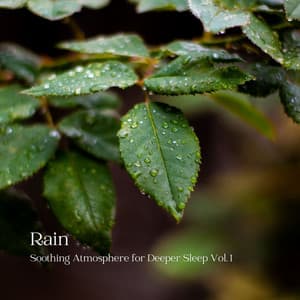 Rain: Soothing Atmosphere for Deeper Sleep Vol. 1 - Deep Sleep