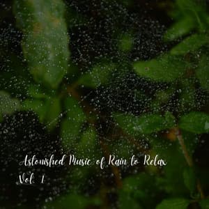 Astonished Music of Rain to Relax Vol. 1 - White Noise Baby Sleep Music