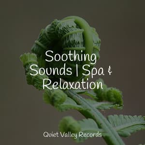 Soothing Sounds | Spa & Relaxation - Lightning