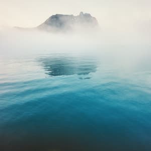 Focus Flow - Uyku Müzik