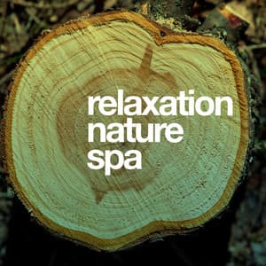 Relaxation Nature Spa - Nature Spa