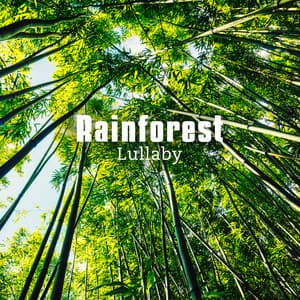 Rainforest Lullaby: Help Yourself Sleep with Tropical Nature Sounds - Calm Nature Oasis