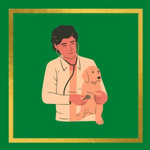 Music for Lazy Chill Dogs - Calma Música para Perros