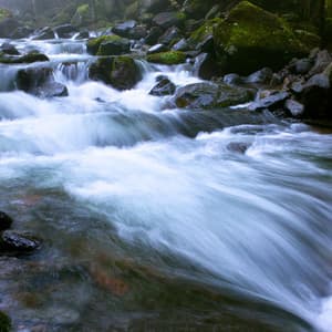 Streamside: Water's Peaceful Choir - Peaceful Music Moments
